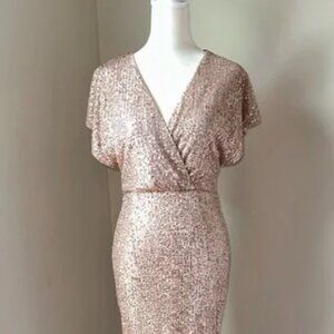 NWT Baltic Born Vienna Sequin Champagne Dress - Size Small